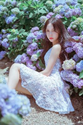 丁香花国语版高清