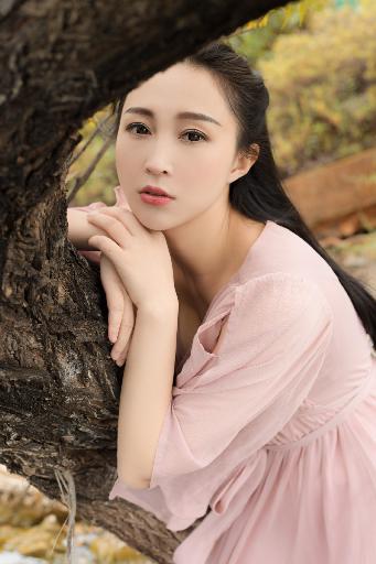 天才基本法电视剧免费观看